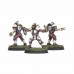 Blood Bowl: Middenheim Maulers